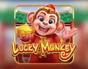 Lucky Monkey